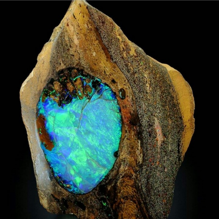 Opale Et Bois Pétrifié