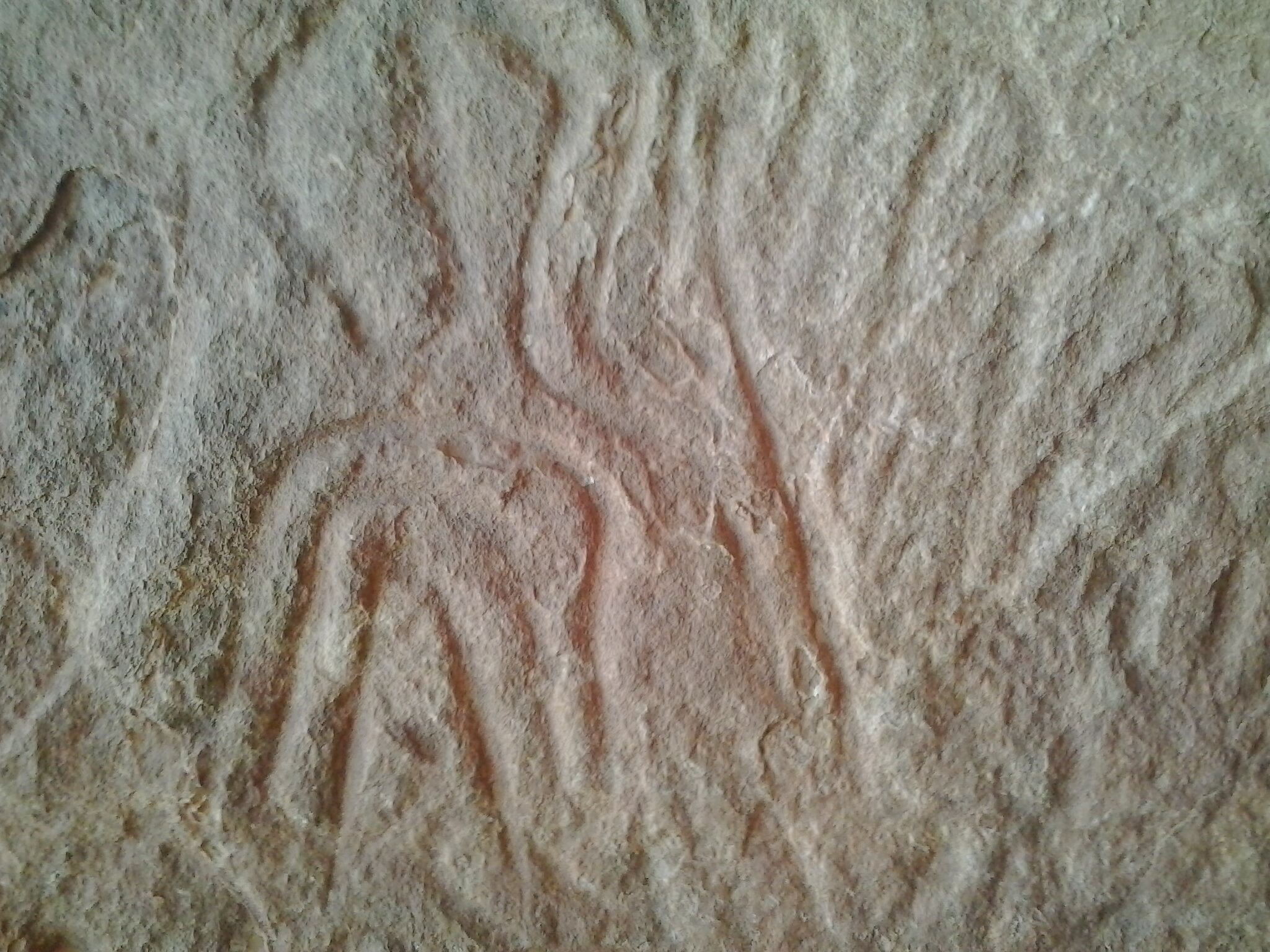 رسومات ما قبل التاريخ