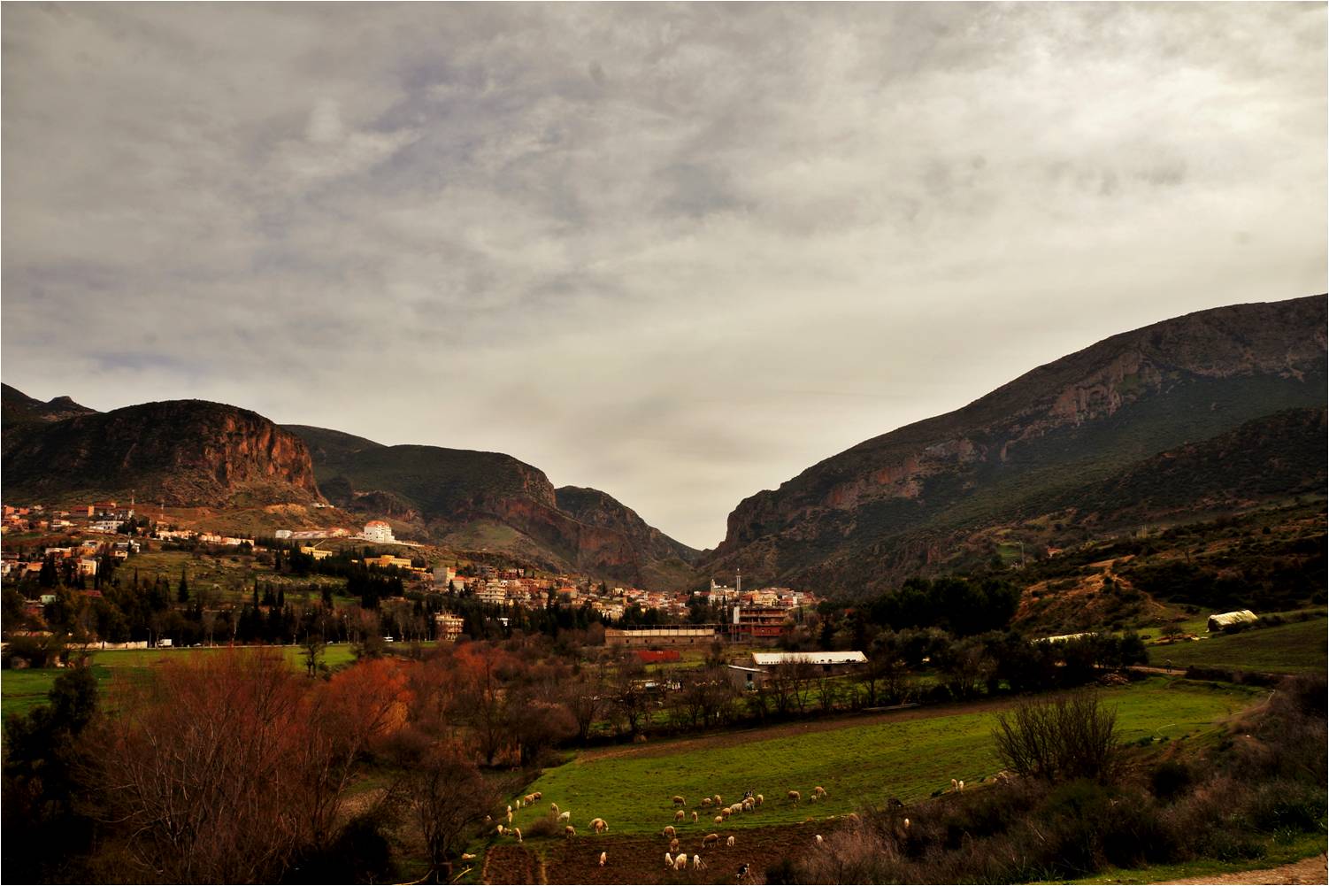 كل يوم تزدادين جمالا