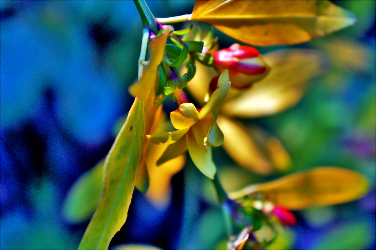 مرحبا بربيع 2019