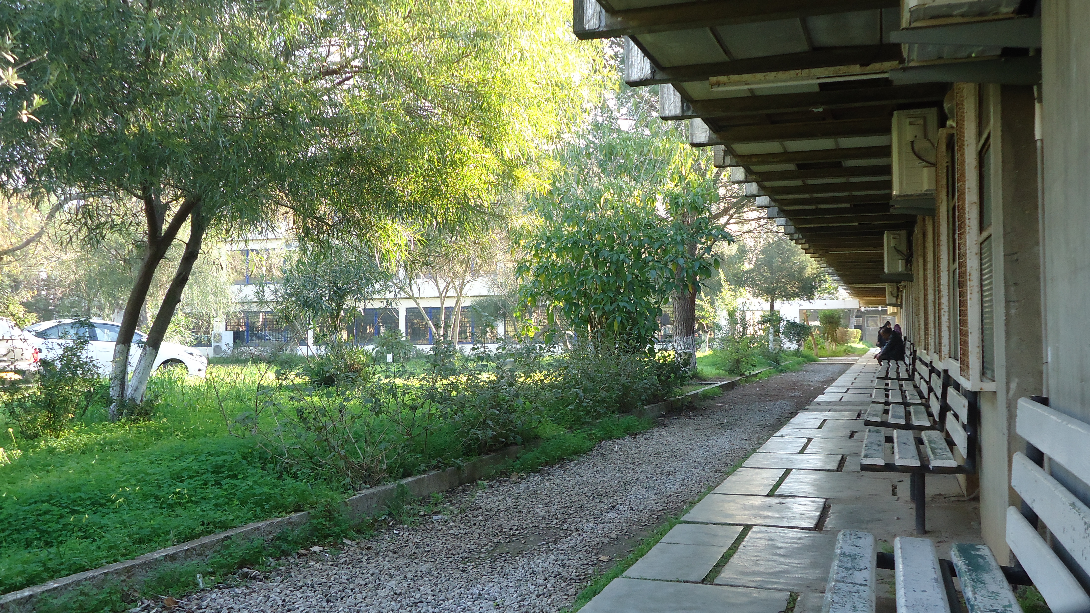 Ecole Polytechnique Architecture Alger LVLE