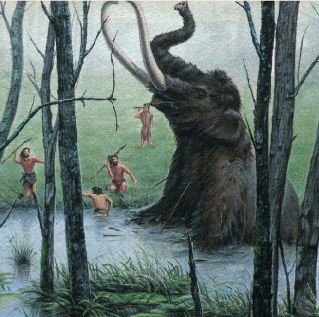 Civilisation de Mammouth