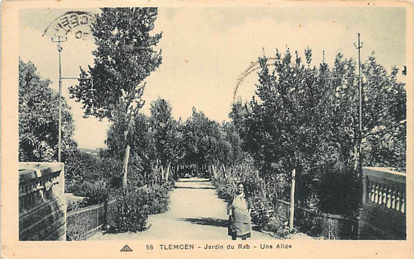 Algerie - TLEMCEN - Jardin du Rab, Une allee - Ed. CAP.