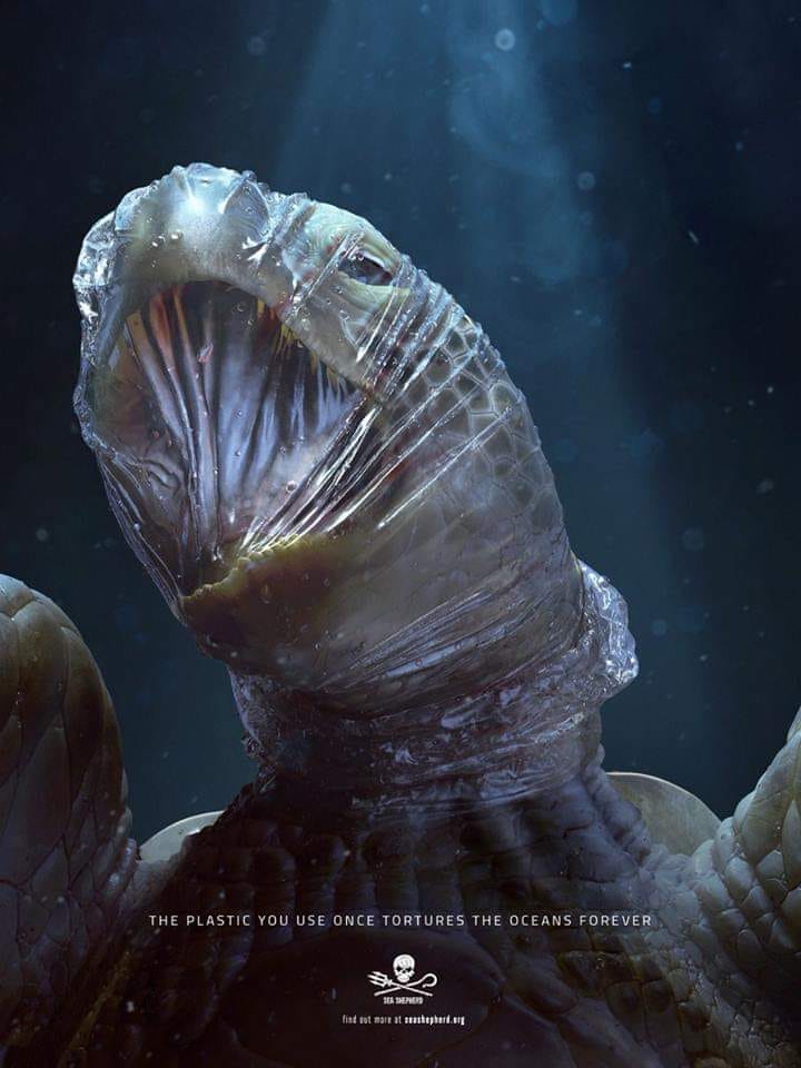 Les dégats du Plastique ...