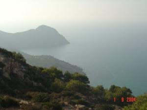 منظرعن بلدية سرايدي