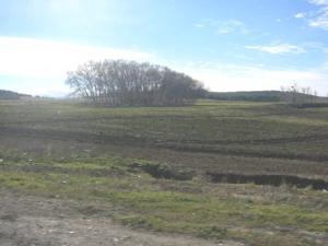 مدخل بلدية بليمور