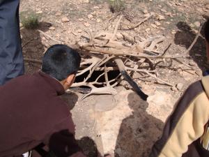 أثار الثوار