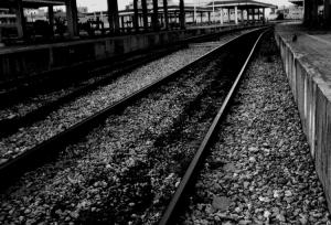 Le  pigeon  attend le train...