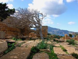 Basilique Sainte Salsa - TIPASA