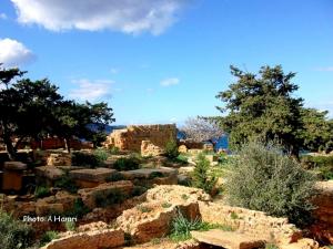 Basilique Sainte Salsa - TIPASA  03