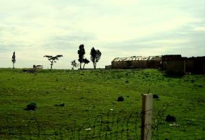 Carcasse d'Estafette