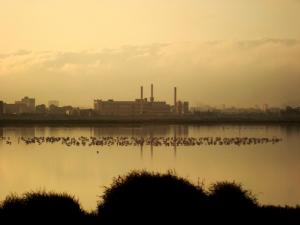 S'installer sur le reflet...