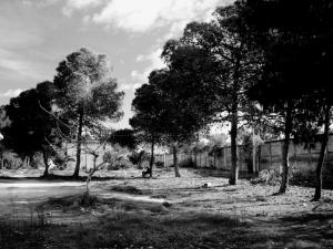 L'Homme et la Nature..