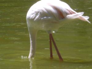 IL FAISAIT CHAUD CE JOUR