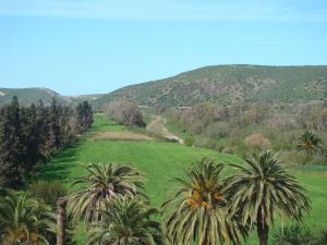 La région de Syphax