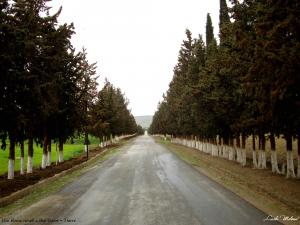 Une route rurale a Sidi Hosni - Tiaret 1