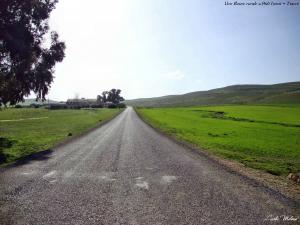 Une route rurale a Sidi Hosni - Tiaret 2