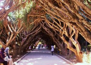 un splendide  jardin