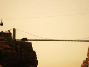 survoler Constantine