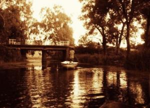 Un torrent d'allegresse..