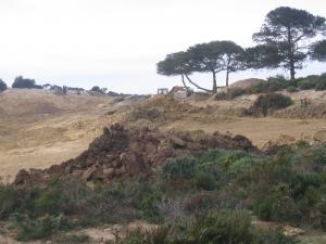 appel à la sauvergarde de nos forets