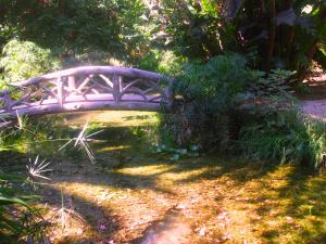 le fameux jardin d'Alger