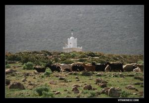 Nouvelle mosquée de Sidi Afif