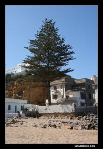 شاطئ البئر قرب الأكواريوم