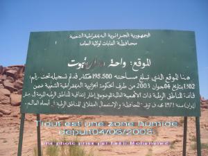 تيوت من المناطق الرطبة