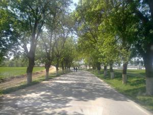 la ferme de Mr bourgas