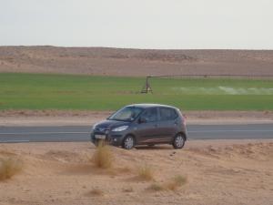 la verdure dans le desert