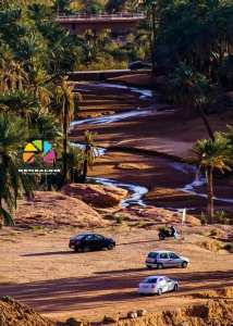 واحة تيوت عين الصفراء