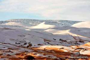 واحة تيوت عين الصفراء