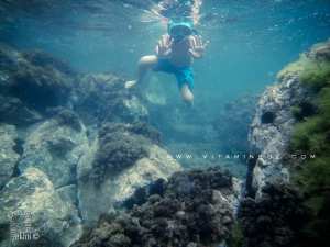Fond sous marin de Boukhenaïs, plage sauvage entre ghazaouet et El Bkhata (Tlemcen)