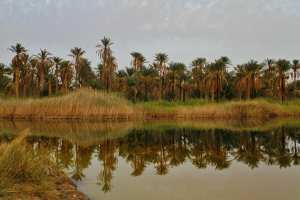 Touggourt... !   Une ville d'histoire et de lacs... !