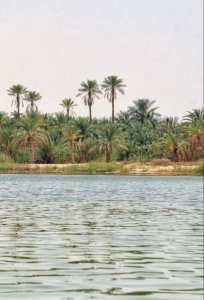 Touggourt... !   Une ville d'histoire et de lacs... !