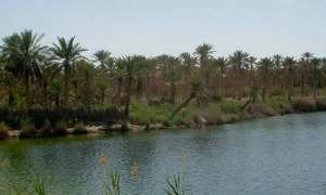 Touggourt... !   Une ville d'histoire et de lacs... !