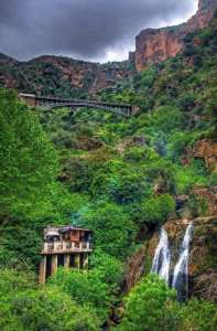 Les Parcs Naturels d'Algérie :