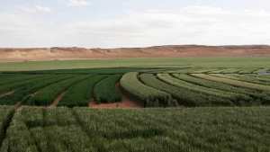 Agriculture Saharienne à Hassi Lefhel