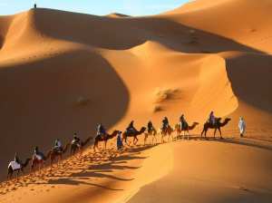Le  #Sahara, le plus grand désert chaud du monde...!