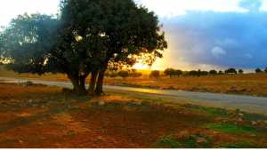 Saïda, la ville des eaux...!