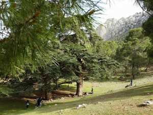 Un site paradisiaque au pied de l'Ouarsenis... !