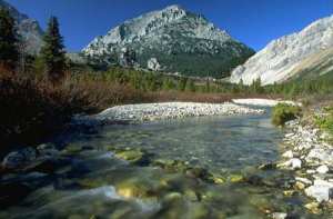 Un site paradisiaque au pied de l'Ouarsenis... !