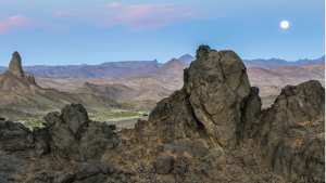 #Tamanrasset: le Tafsit  les Couleurs du Printemps ...!
