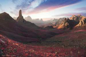 #Tamanrasset: le Tafsit  les Couleurs du Printemps ...!