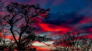 #Tamanrasset: le Tafsit  les Couleurs du Printemps ...!