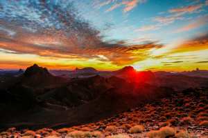 #Tamanrasset: le Tafsit  les Couleurs du Printemps ...!