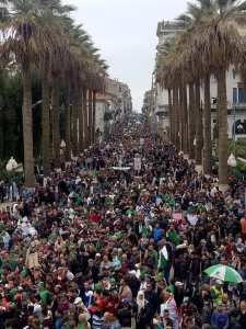 Liberté à toi Algérie Par Docteur Nesrine Maharzi