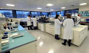 stage pratique en etranger