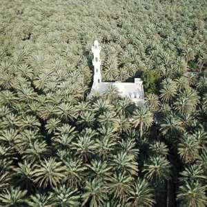 #Tolga, #Biskra :  Une perle de oasis ... !